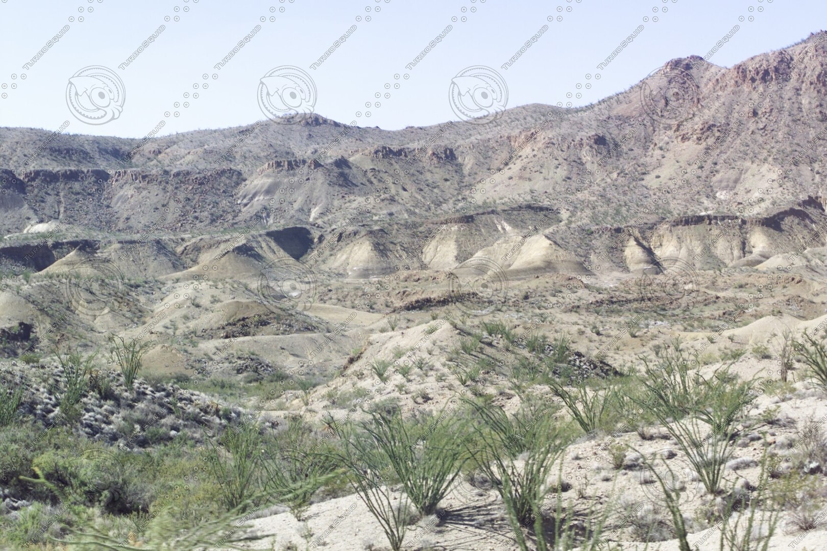  https://p.turbosquid.com/preview.turbosquid.com/Preview/2014/08/01__15_41_30/Texas 137.jpg30cdf5cb-6b59-4c11-8bba-5d2173ce1100Zoom/jpg/1169325391/1920x1080/fit_q87/fce652c8750f501ea96149a22c3c97fd7371a01e/Texas 137.jpg30cdf5cb-6b59-4c11-8bba-5d2173ce1100Zoom.jpg